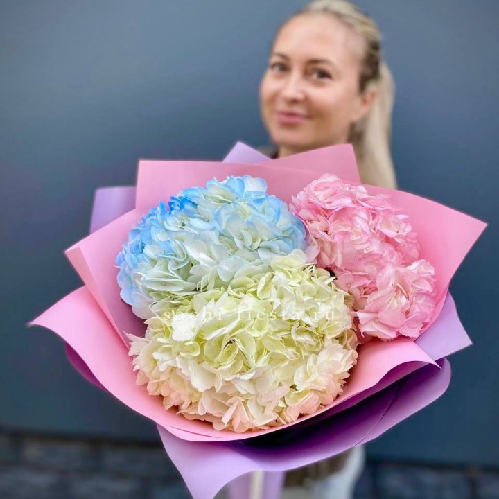 Букет гортензий "TONICA" в Хосте и Кудепсте