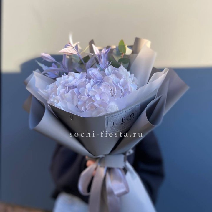 Гортензия "Violet sky" в Хосте и Кудепсте