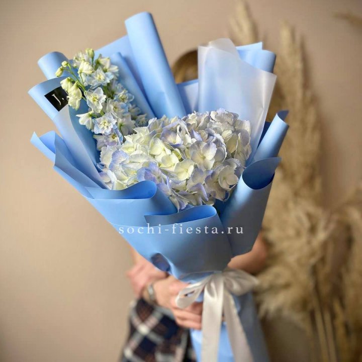 Гортензия "Blue sky" в Хосте и Кудепсте