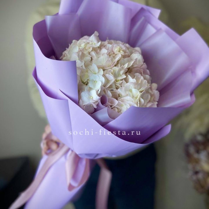 Гортензия UNO Розовая в Хосте и Кудепсте