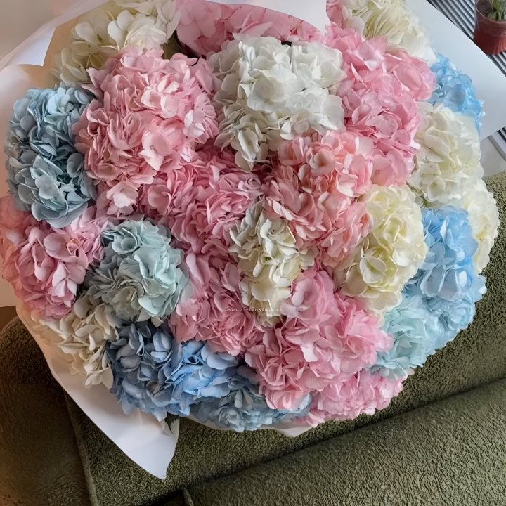 Букет гортензий Mix в Хосте и Кудепсте