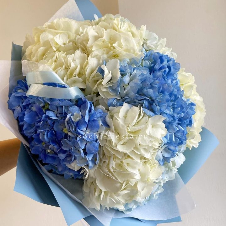 Букет гортензий "Blue clouds" в Хосте и Кудепсте
