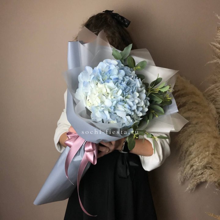 Гортензия UNO в Хосте и Кудепсте