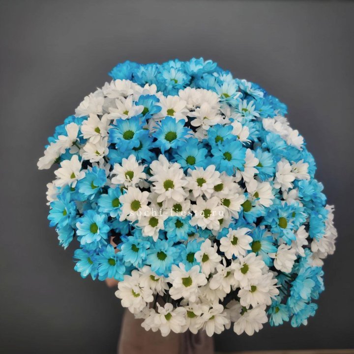  Букет хризантем MIX в Хосте и Кудепсте