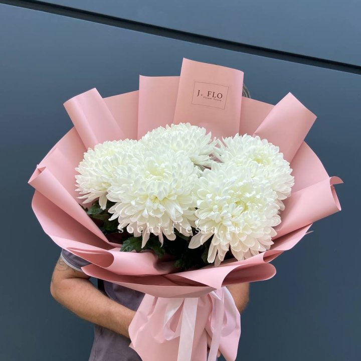 Профитроли №2 в Хосте и Кудепсте