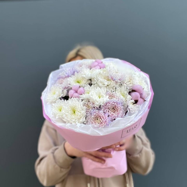 7 нежных хризантем в Хосте и Кудепсте