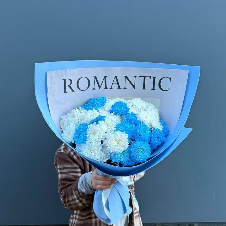 Дуо хризантем в Хосте и Кудепсте