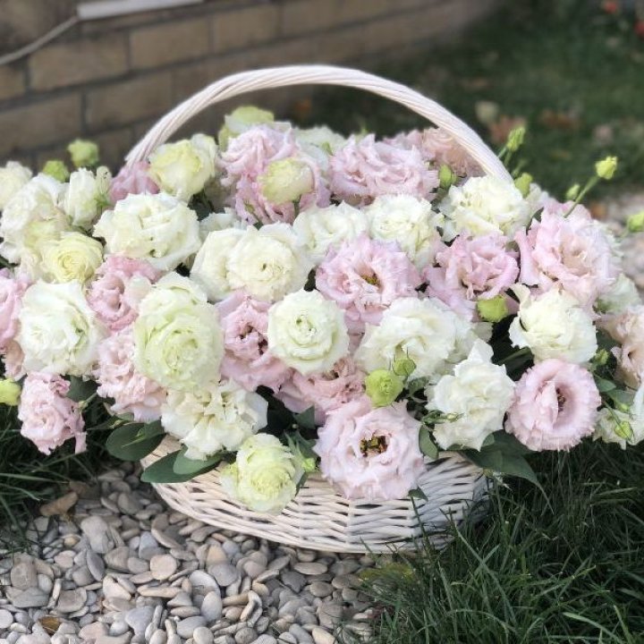 Корзина с эустомой в Хосте и Кудепсте