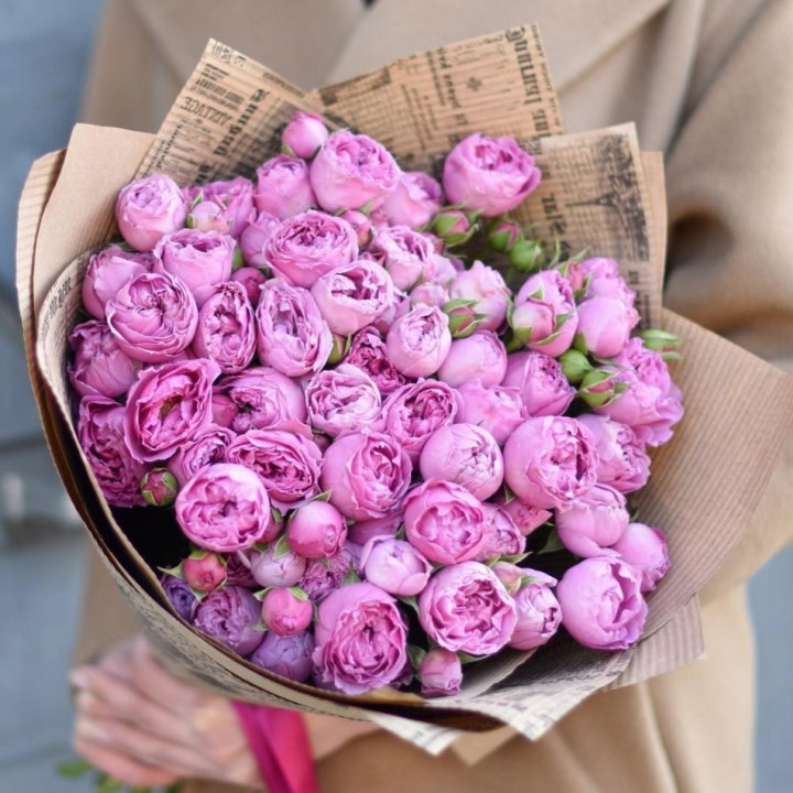 Роза Мисти Баблс в Хосте и Кудепсте