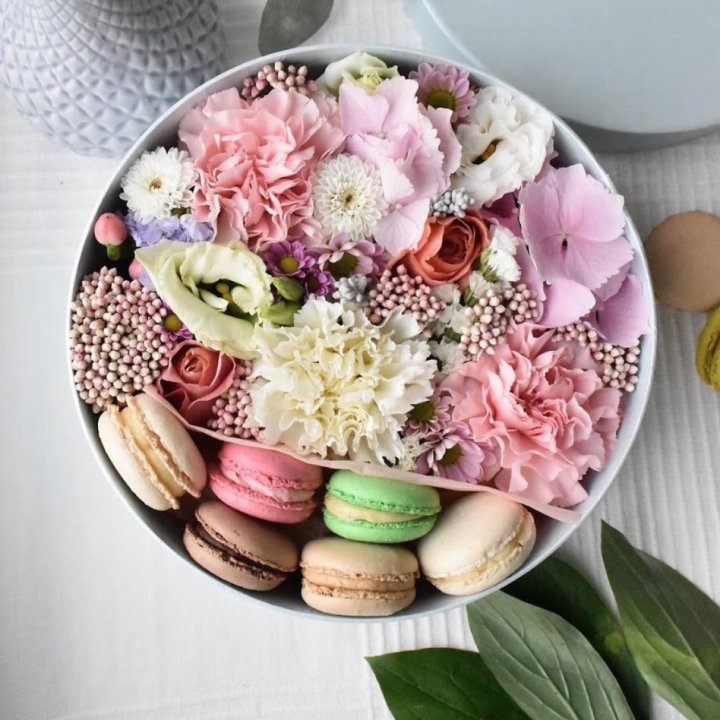 Creambox M в Хосте и Кудепсте