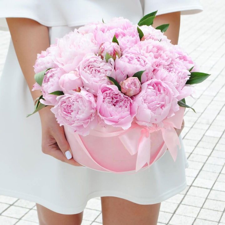 Пионы в шляпной коробке в Хосте и Кудепсте