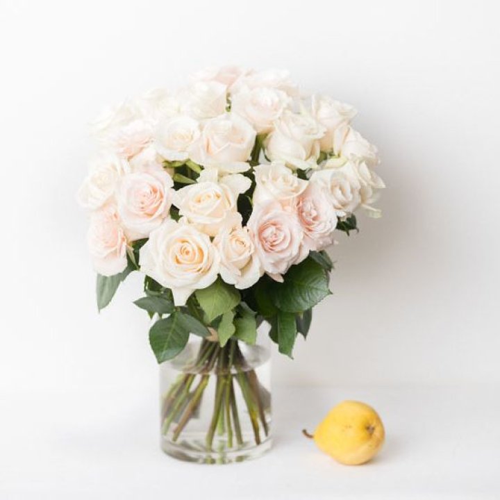 25 кремовых роз в Хосте и Кудепсте