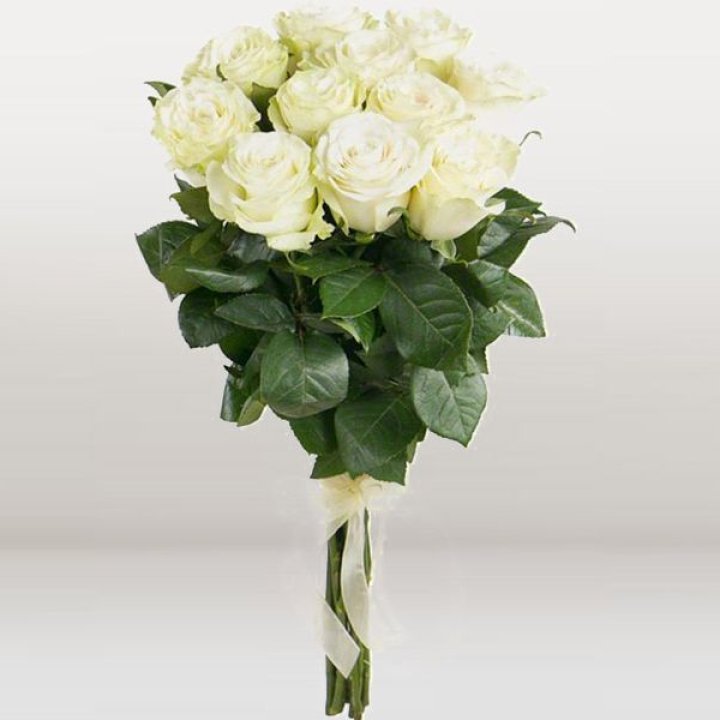 11 белых голландских роз в Хосте и Кудепсте