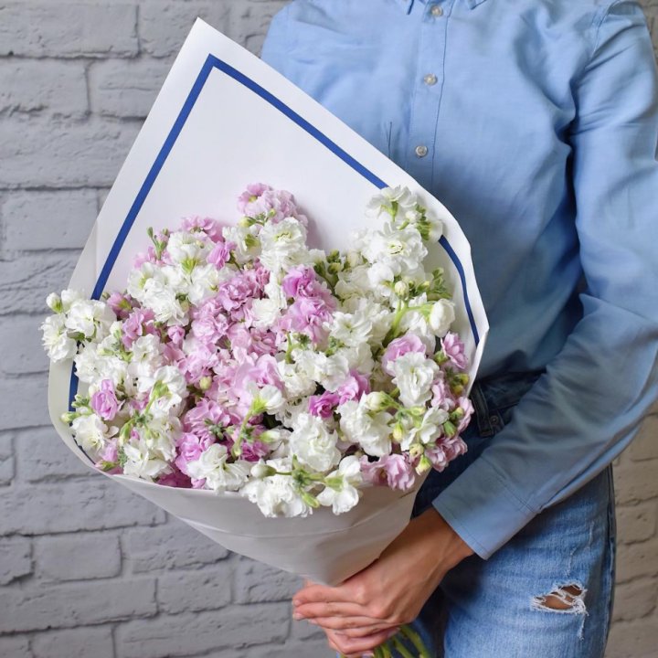 Маттиоли в Хосте и Кудепсте