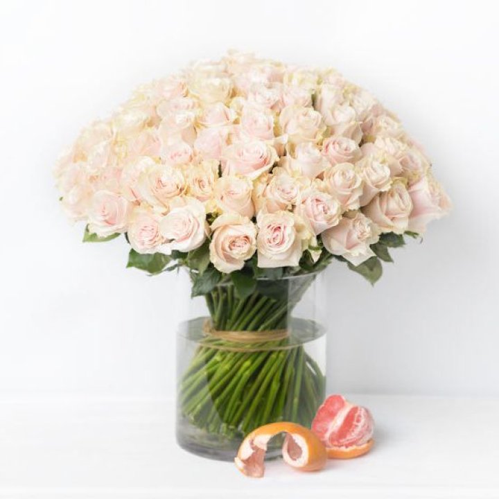 101 кремовая роза в Хосте и Кудепсте