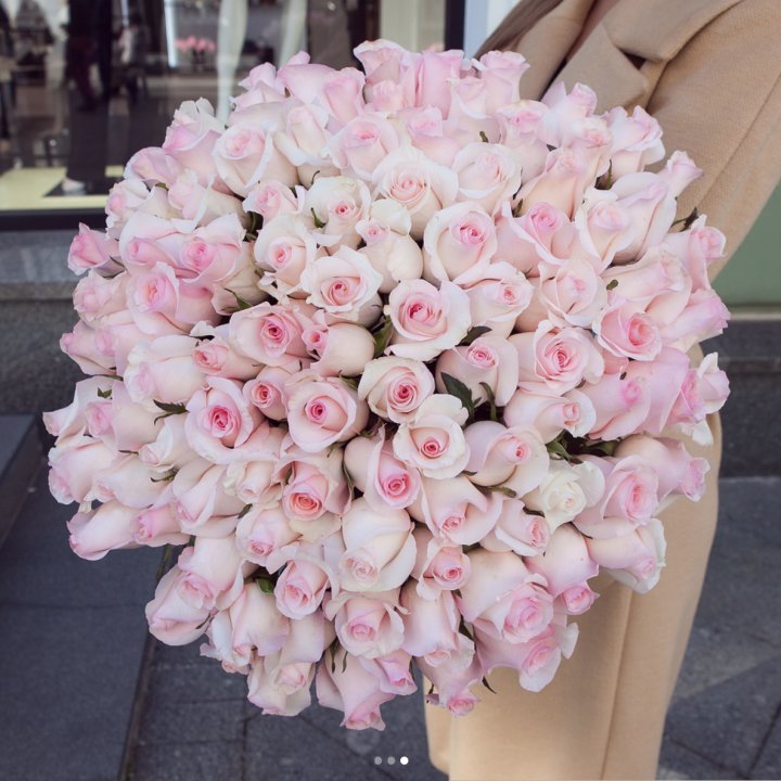 Pink boom в Хосте и Кудепсте