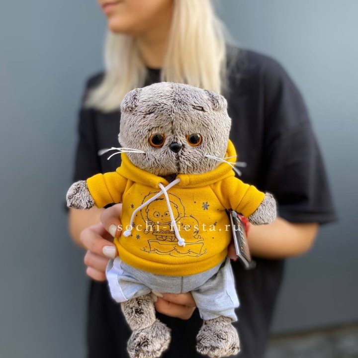 Кот Басик в худи в Хосте и Кудепсте