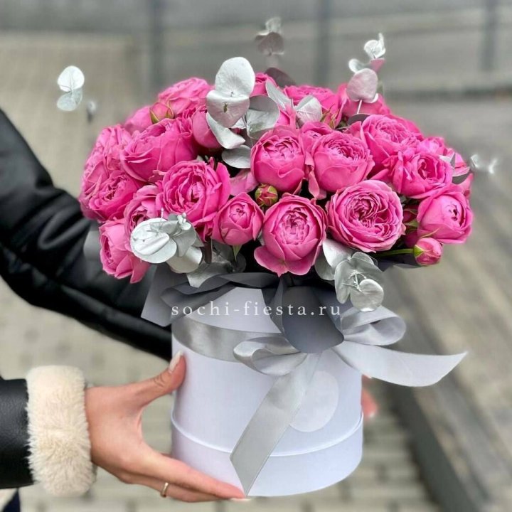 Misty Box Premium №2 в Хосте и Кудепсте