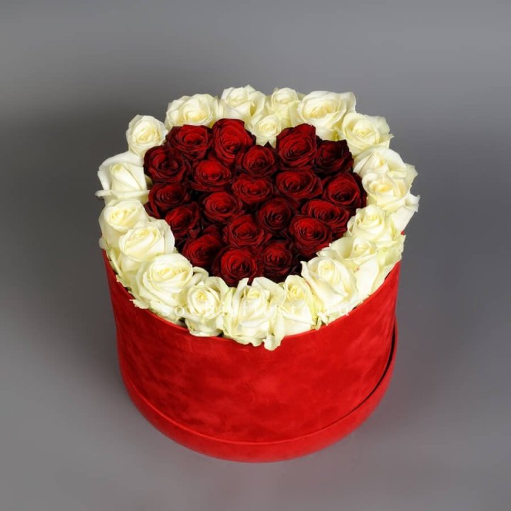 39 красных и белых роз в цилиндре в Хосте и Кудепсте
