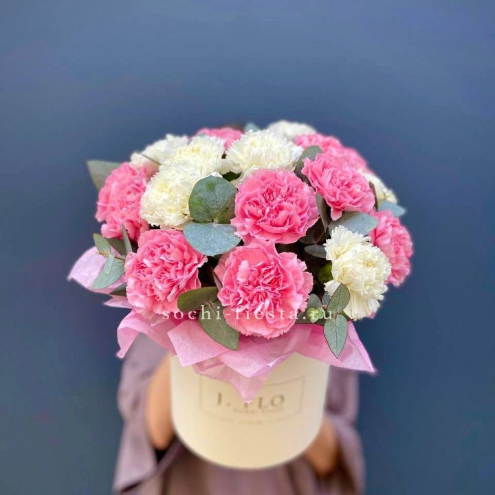 Диантусы в цилиндре в Хосте и Кудепсте