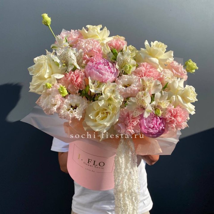 Дизайнерский бокс "Alfina" в Хосте и Кудепсте