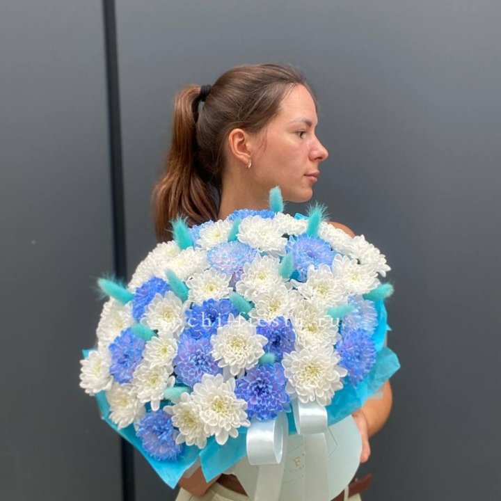  Коробочка  хризантем и лагуруса «Blue sea» в Хосте и Кудепсте