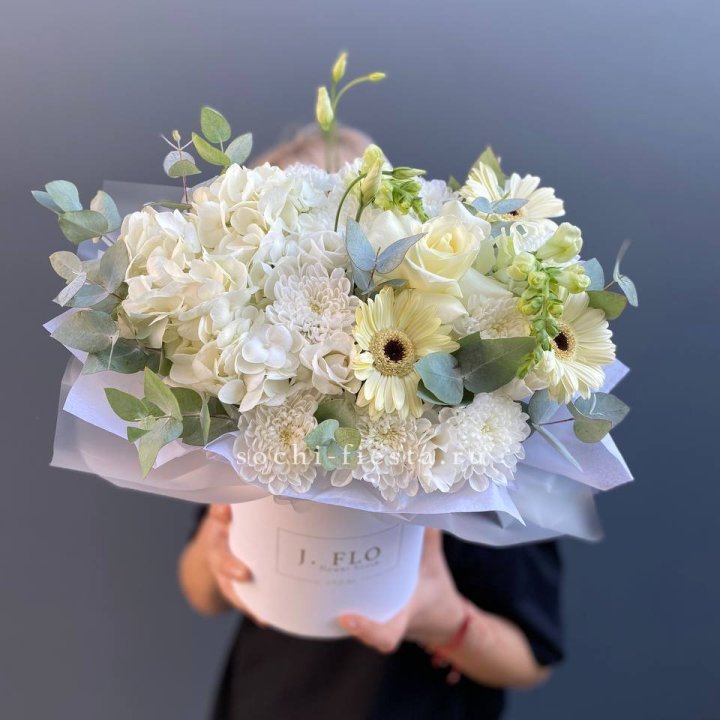  Коробочка  " Луна" в Хосте и Кудепсте