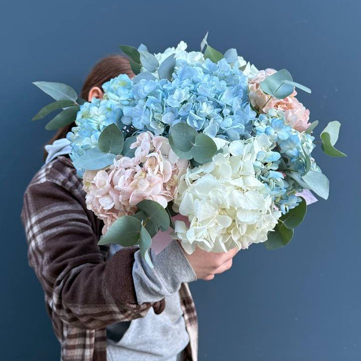 Гортензии в коробочке в Хосте и Кудепсте