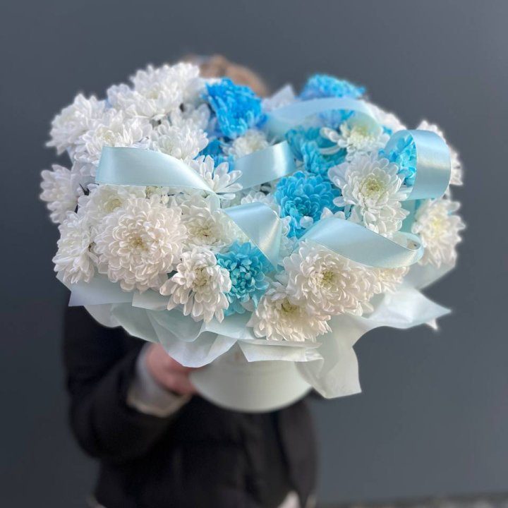 Хризнтемы в боксе в Хосте и Кудепсте