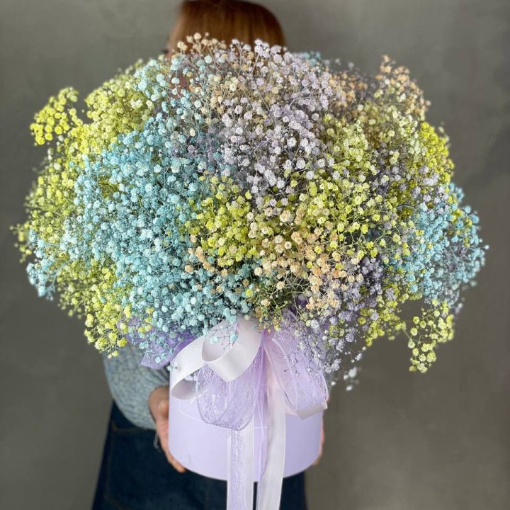 Rainbow BOX в Хосте и Кудепсте