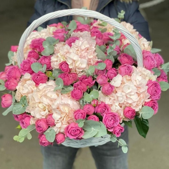 Корзина с гортензией и Мисти Баблс в Хосте и Кудепсте
