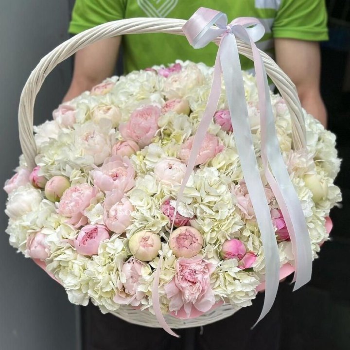 Премиум корзина гортензий и пионов в Хосте и Кудепсте