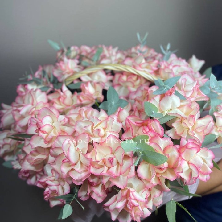 51 джумилия  в корзине   в Хосте и Кудепсте