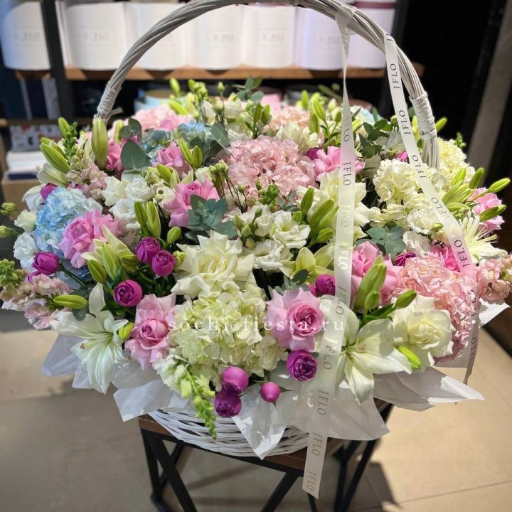 Корзина гигант в Хосте и Кудепсте