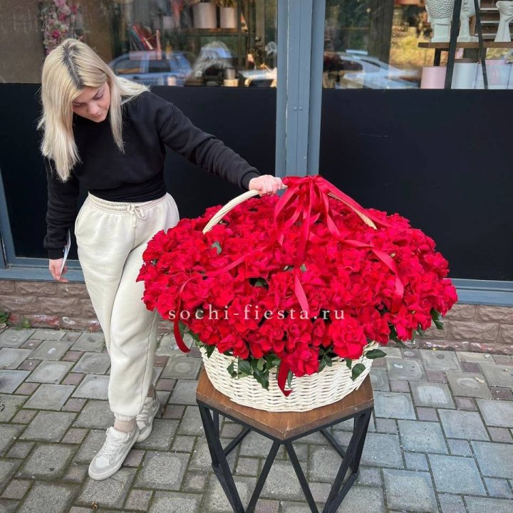 201 французская красная роза в Хосте и Кудепсте