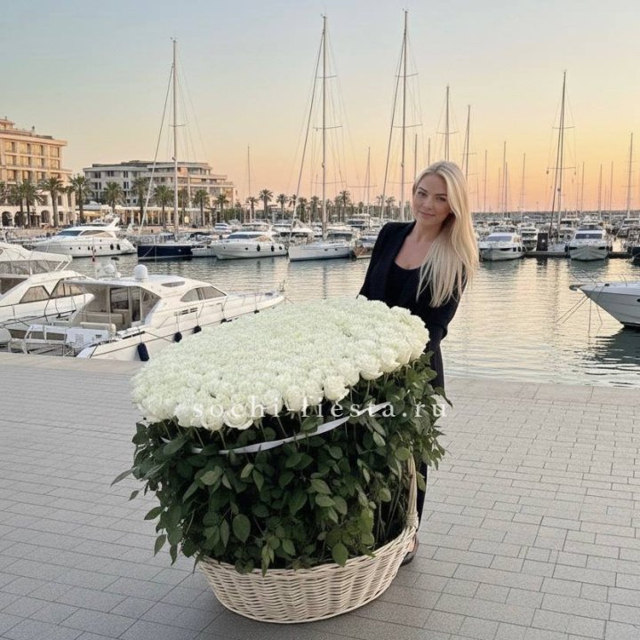 301 высокая роза в корзине в Хосте и Кудепсте