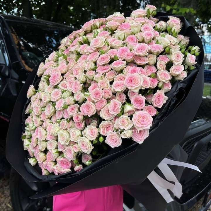 101 кустовая роза Twister в Хосте и Кудепсте