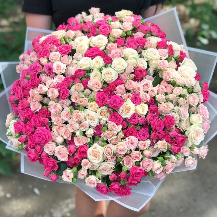 101 кустовая роза в Хосте и Кудепсте