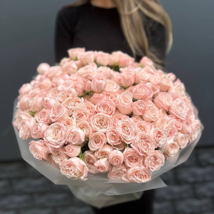 51 кустовая роза Бомбастик в Хосте и Кудепсте