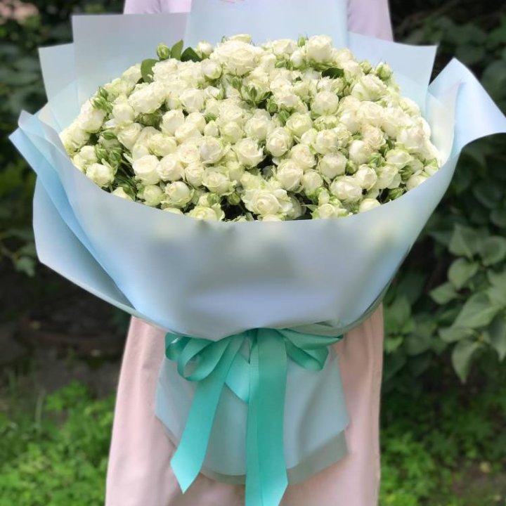 51 белая кустовая роза в Хосте и Кудепсте