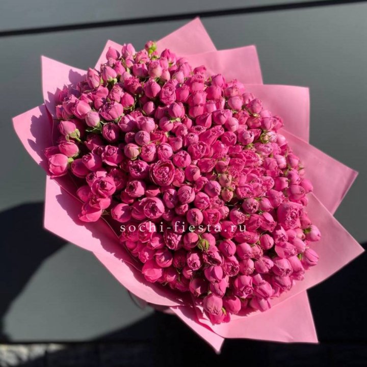 151 кустовая роза в Хосте и Кудепсте