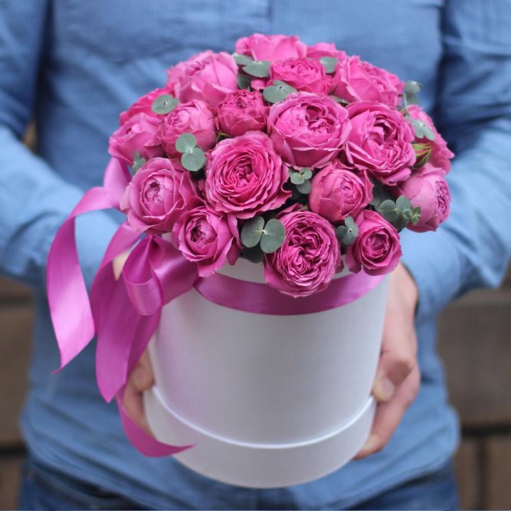 Misty Box Premium №1 в Хосте и Кудепсте