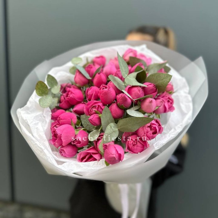 17 Мисти бабблс в Хосте и Кудепсте