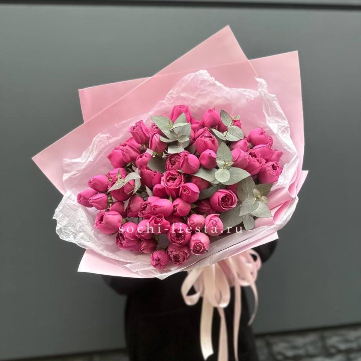 25 Мисти бабблс в Хосте и Кудепсте