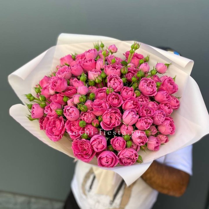 Мисти Баблс 35шт в Хосте и Кудепсте