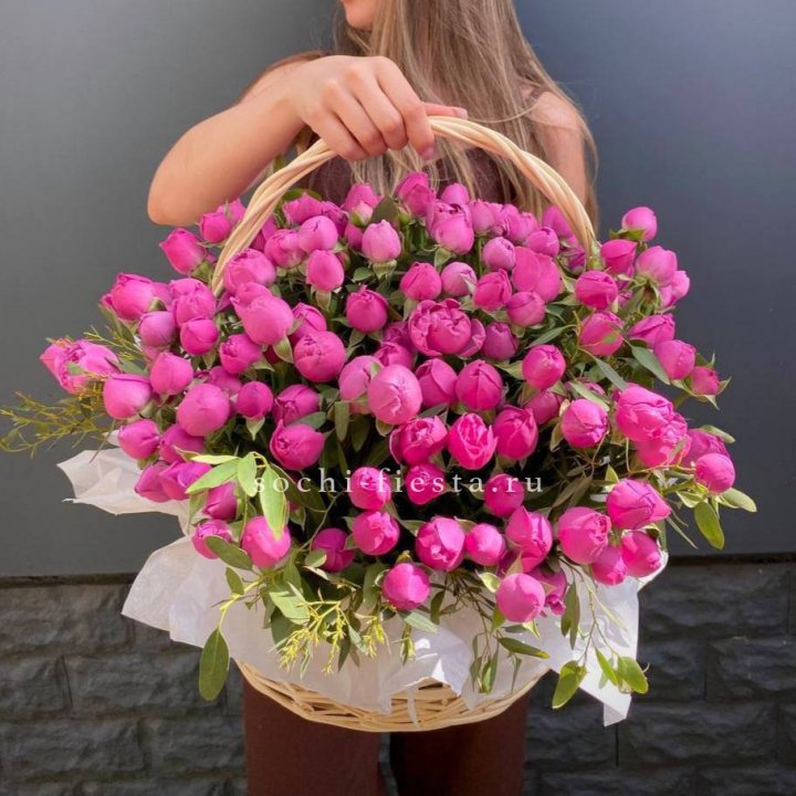 Misty Basket 51 в Хосте и Кудепсте