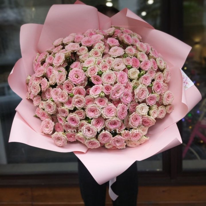 51 кустовая роза Twister в Хосте и Кудепсте