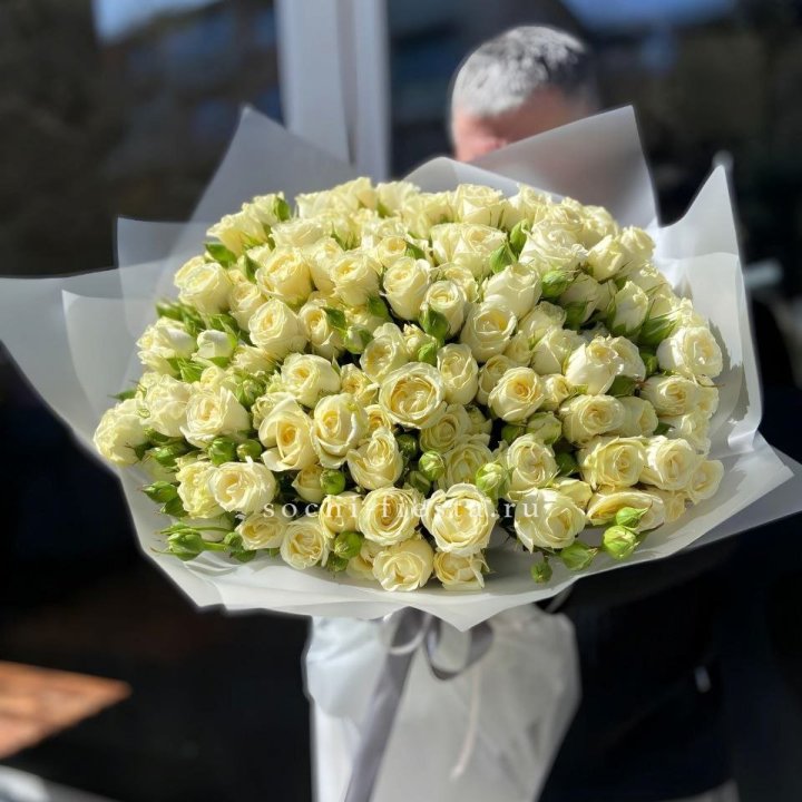 Белые кустовые розы 31 шт в Хосте и Кудепсте