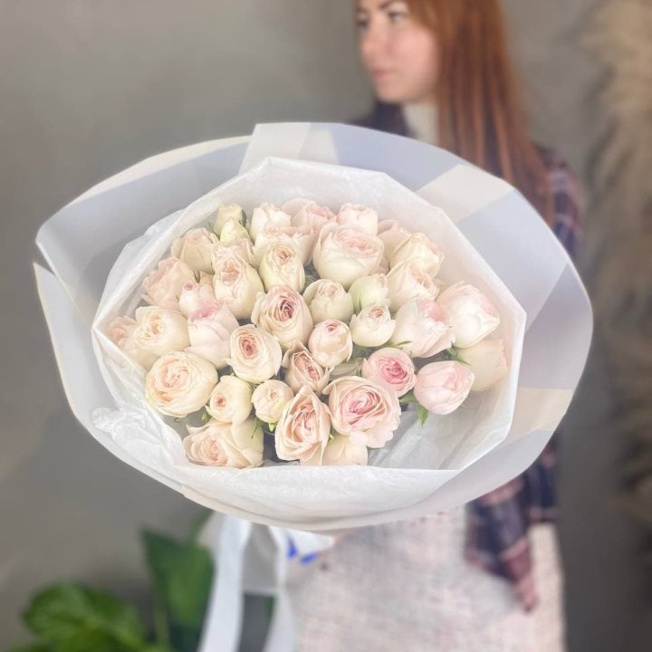 Bombastic Pionka в Хосте и Кудепсте