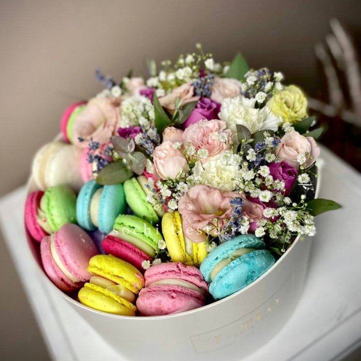 Creambox L в Хосте и Кудепсте